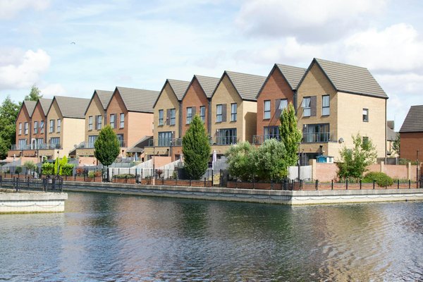 Thrive in urban gardening: grow abundant vegetables in your london haven