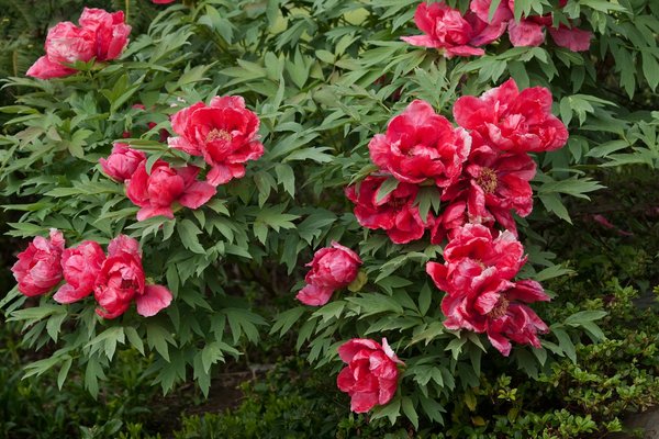 Timeless treasures: explore rare antique clocks today